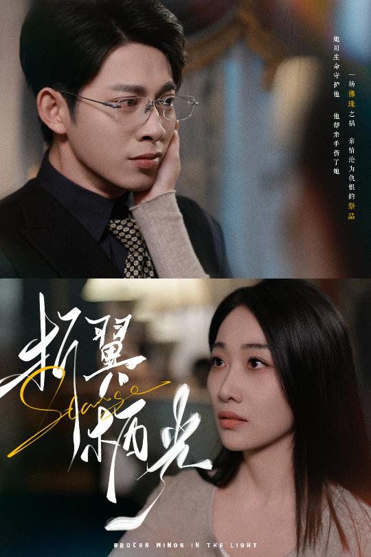 折翼栖光 第1-20集