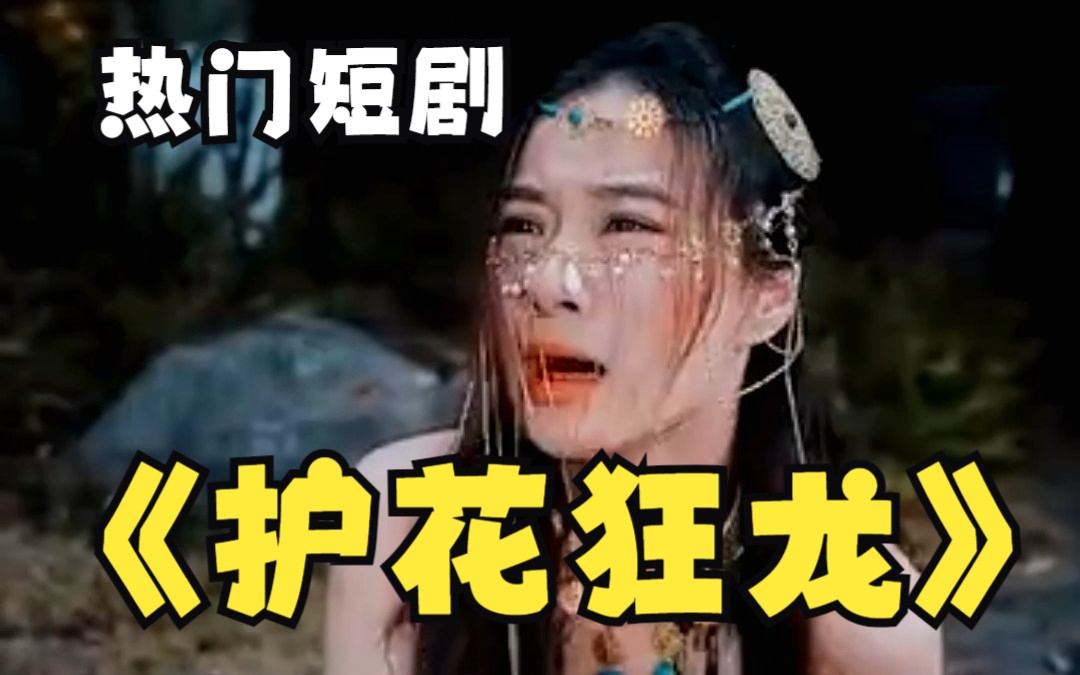 护花狂龙 第1集