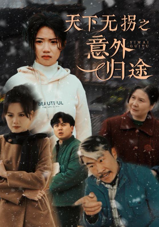 天下无拐之意外归途 第1-30集