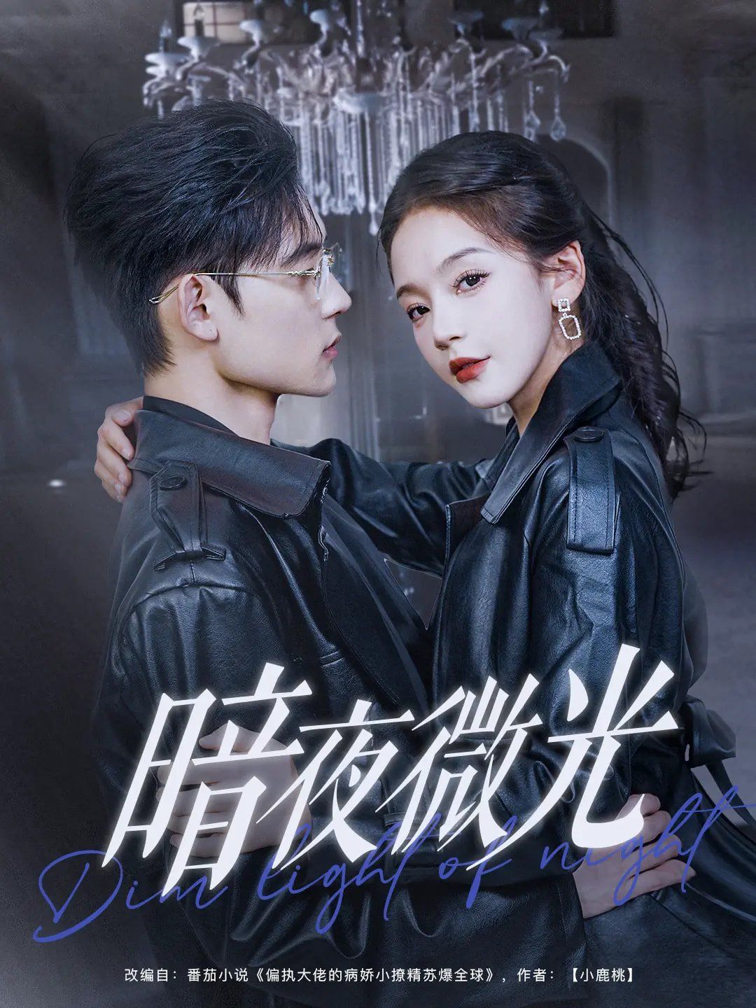 暗夜微光 第1-20集