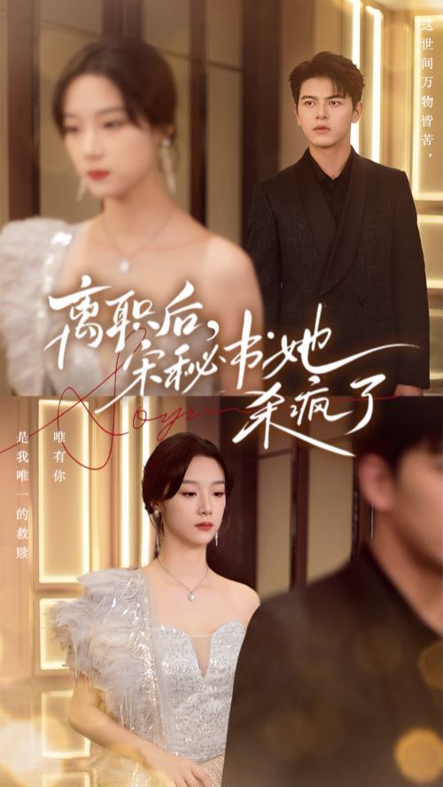 离职后，宋秘书她杀疯了 第1-20集