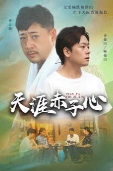 天涯赤子心 第41-60集完结(大结局)