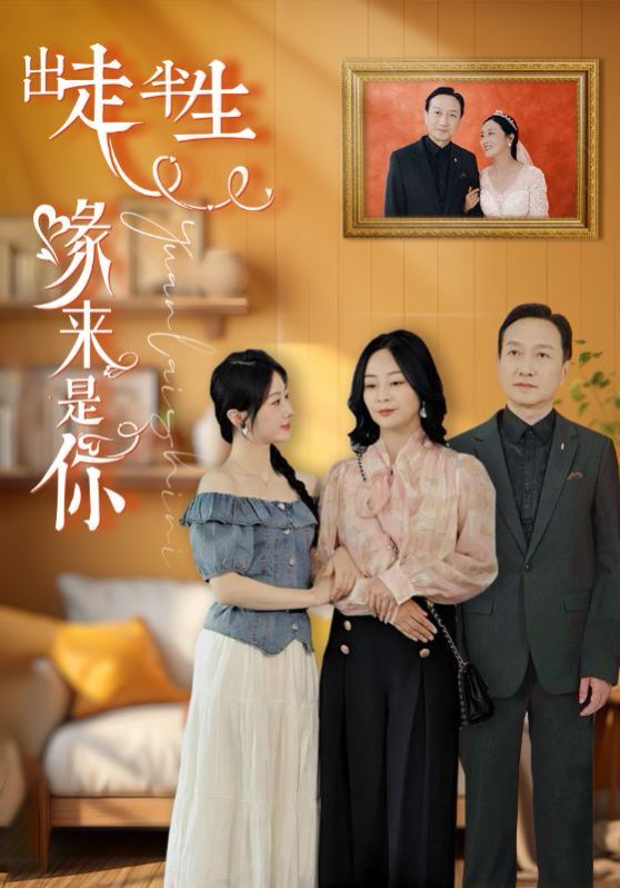 出走半生缘来是你 第41-60集