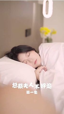 总裁夫人不好追 第41-60集