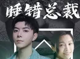 睡错总裁狂宠妻 第21-40集