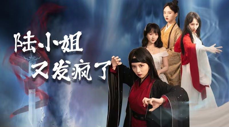 陆小姐又发疯了 第1-20集