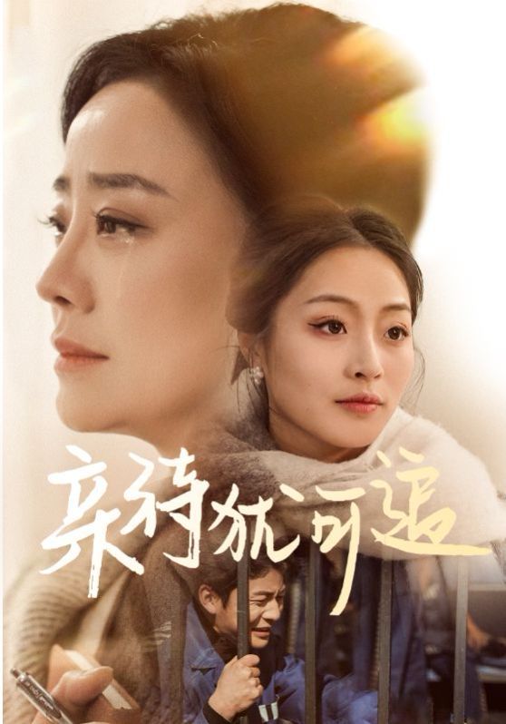 亲待犹可追 第41-70集完结(大结局)