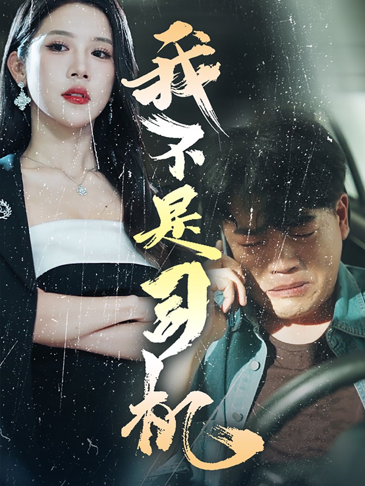 我不是司机 第1-20集