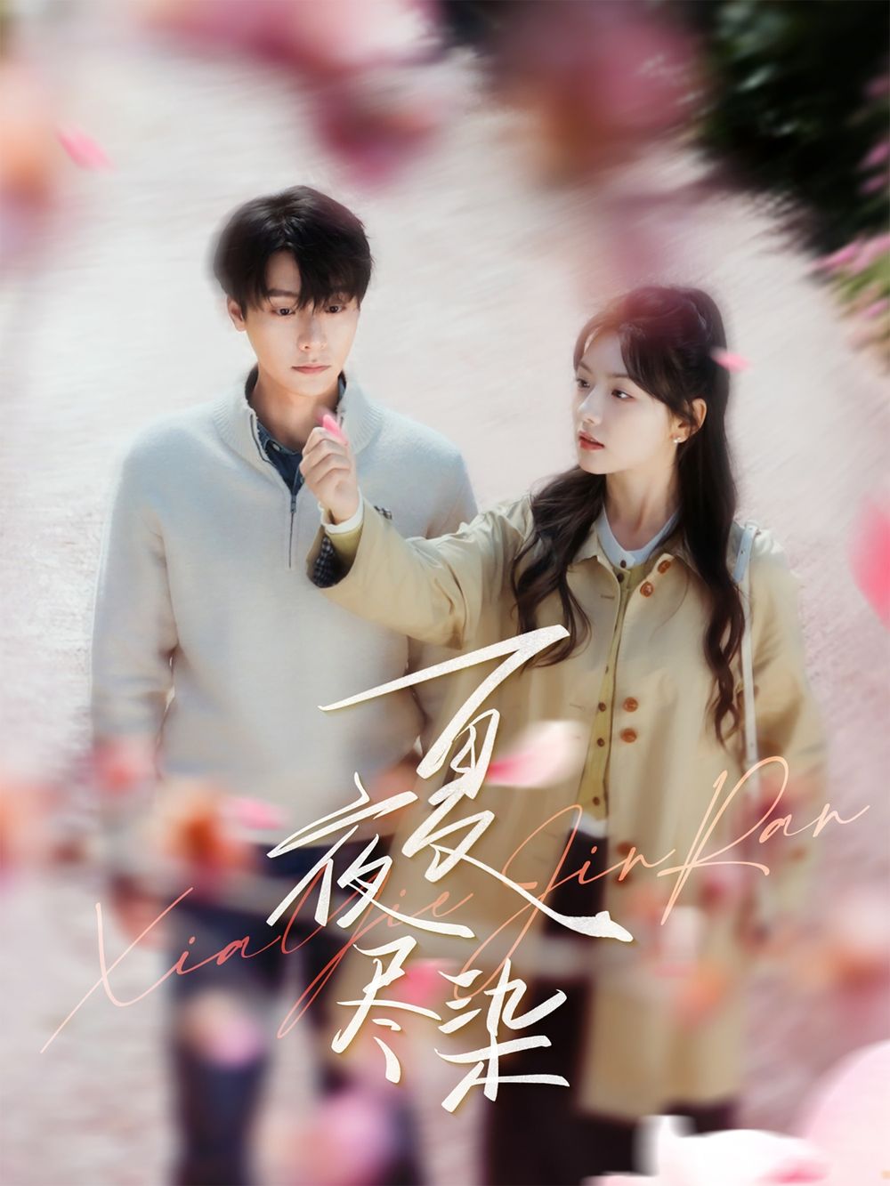 夏夜尽染 第1-20集