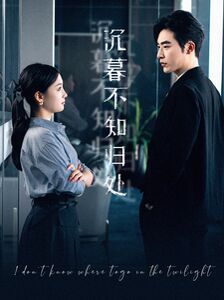 沉暮不知归处 第1-20集