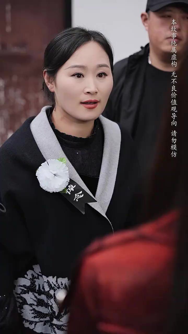 养母的秘密 第1-20集