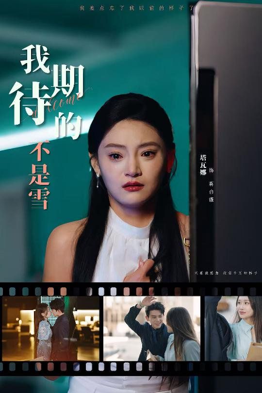 我期待的不是雪 第1-20集