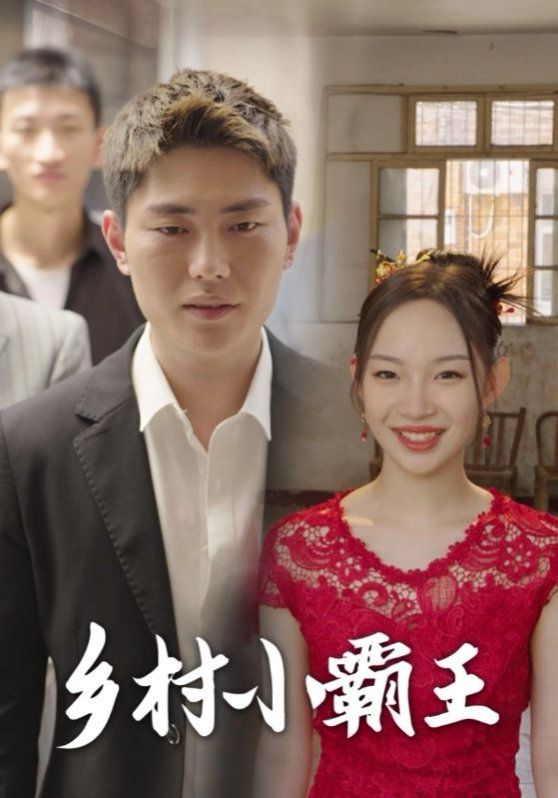 乡村小霸王 第1-20集