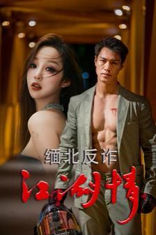 缅北反诈江湖情 第41-60集