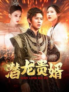 潜龙贵婿 第1-20集