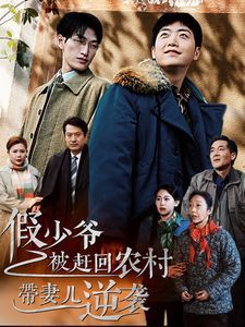 假少爷被赶回农村带妻儿逆袭 第21-40集