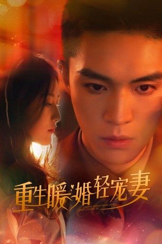 重生暖婚轻宠妻 第21-40集