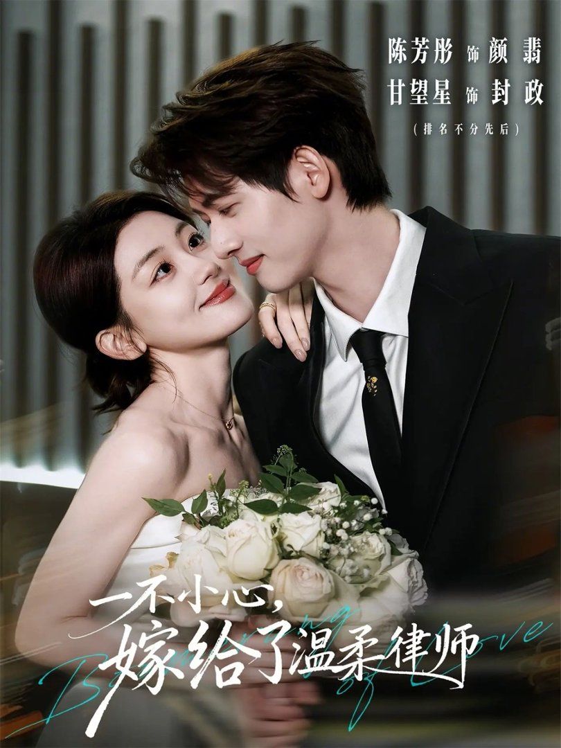 一不小心，嫁给了温柔律师(全集)