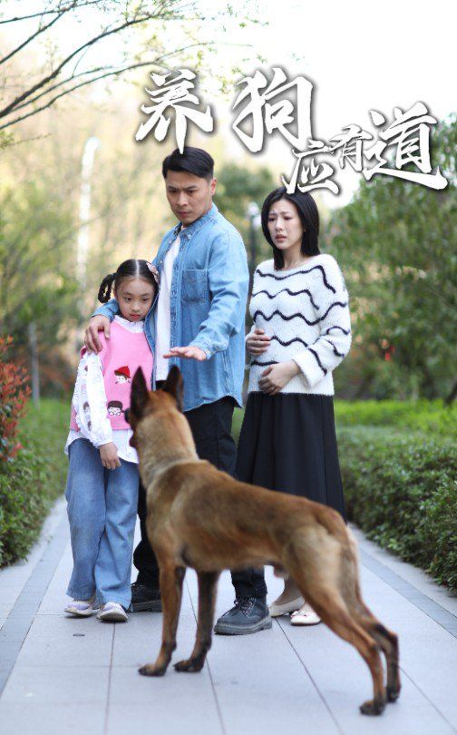 养狗应有道 第1-30集