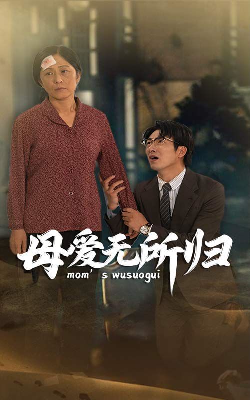 母爱无所归 第1-20集