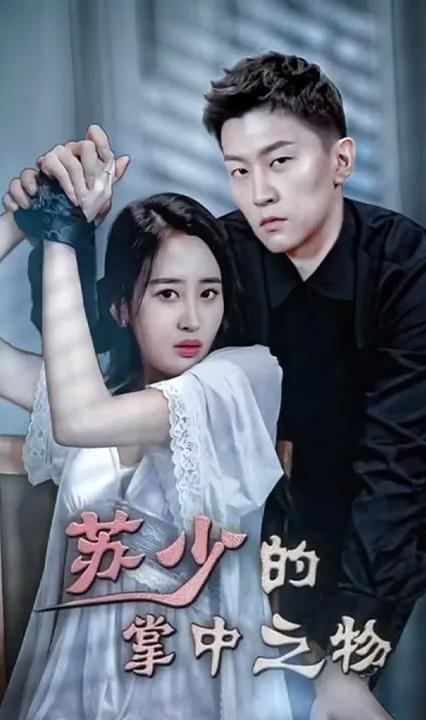 苏少的掌中之物 全集(大结局)